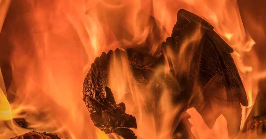 Part 1 – The Unexpected Origin of&nbsp;Dragons